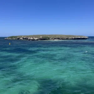南鳥島(みなみとりしま)